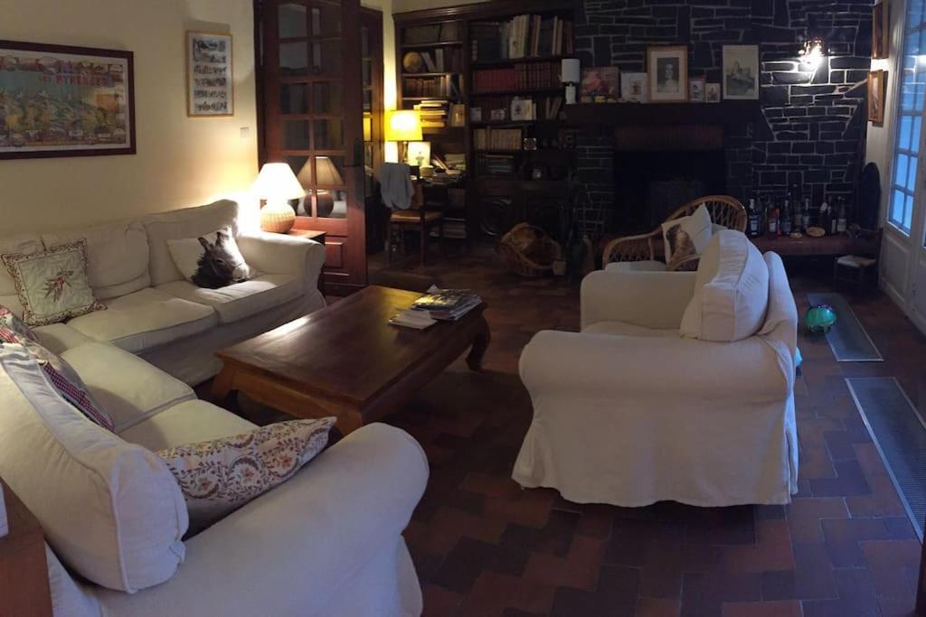 Grande Maison Confortable A Bagneres Екстер'єр фото